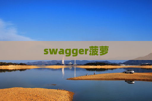 swagger菠萝 swagger菠萝